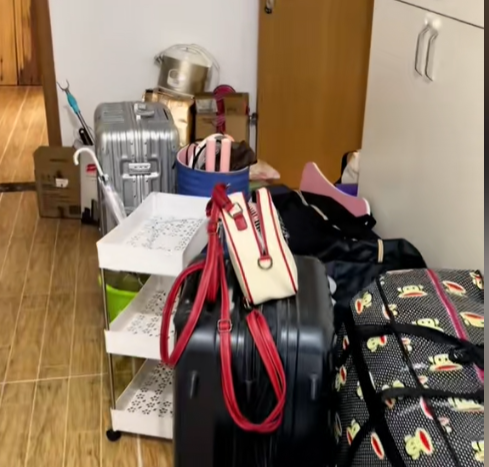 防震物料及專業包裝