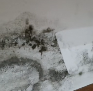 牆身發霉與水漬